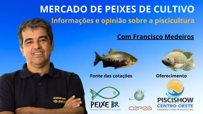 A SEMANA DA PISCICULTURA – Semana curta e sem muitas novidades nos preços dos peixes de cultivo